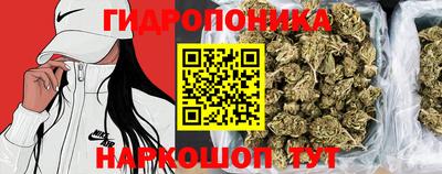 меф Лесосибирск
