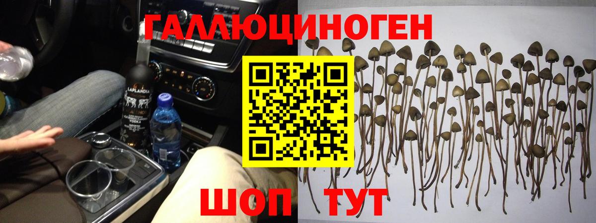 Галлюциногенные грибы ЛСД Шатура