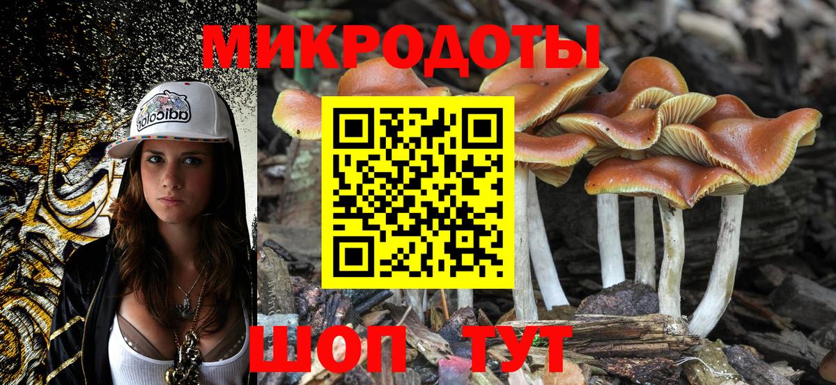 цена наркотик  Галлюциногенные грибы GOLDEN TEACHER  Вход с VPN  Шатура 
